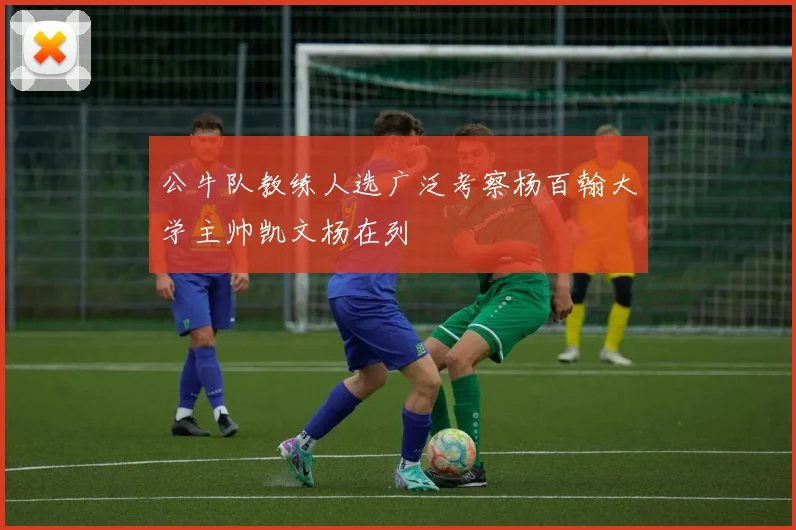 公牛队教练人选广泛考察杨百翰大学主帅凯文杨在列